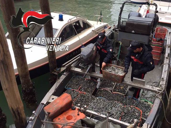 VENEZIA: CONTROLLI DEI CARABINIERI, SEQUESTRI PER OLTRE 800MILA EURO